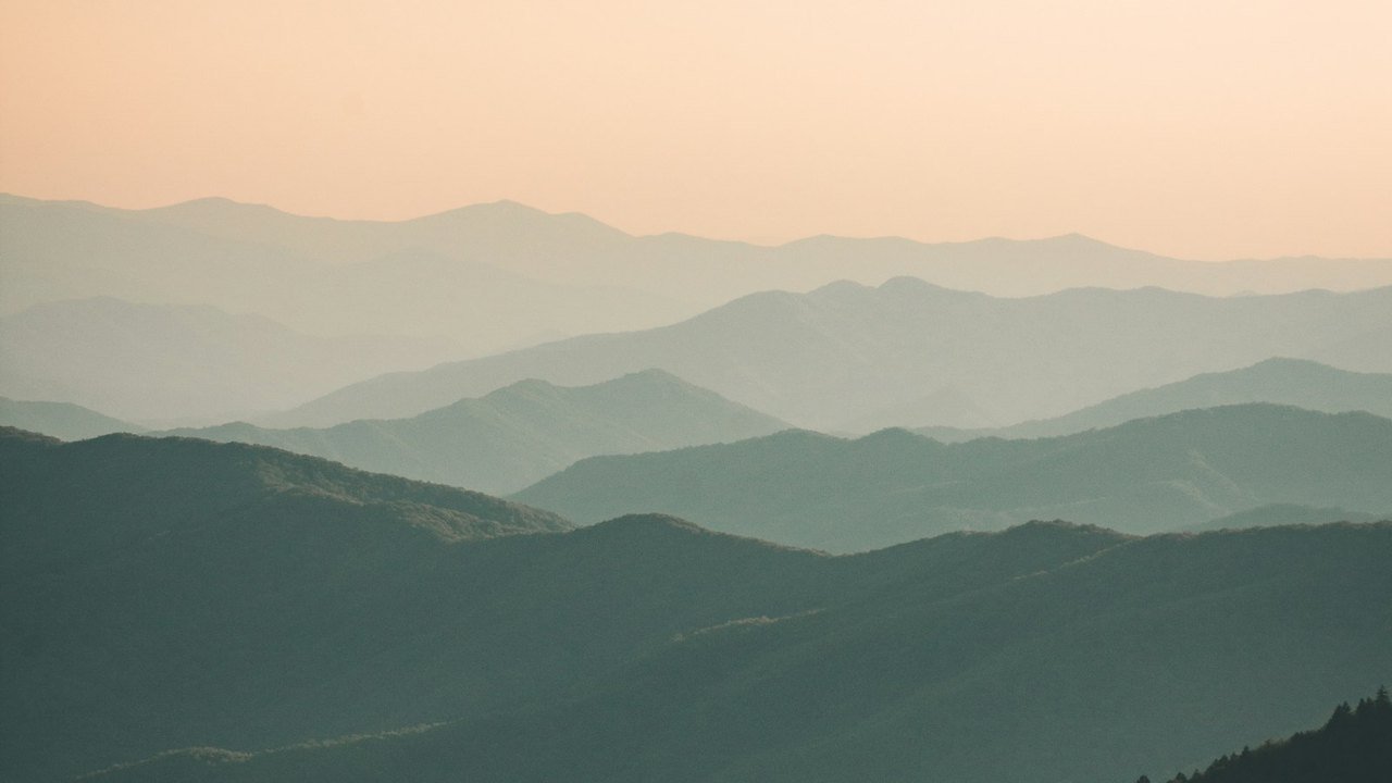 Compassion